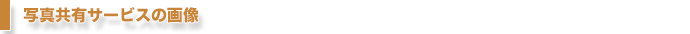 写真共有サービスの画像