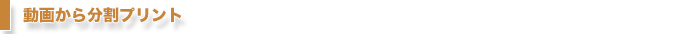動画から分割プリント