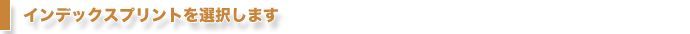 インデックスプリントを選択します