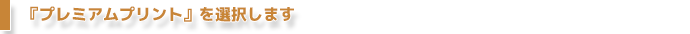 『プレミアムプリント』または『バラエティプリント』を選択します