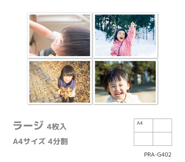 ポケットプリント ラージ 4枚入